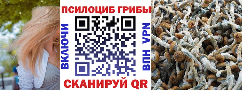 где купить наркоту  Яранск  Галлюциногенные грибы Magic Shrooms 